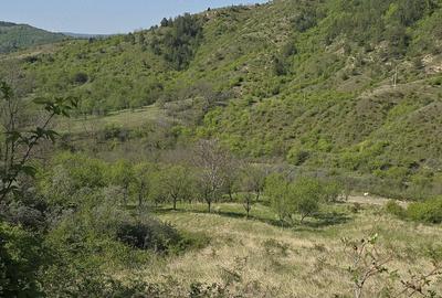Teren de 3900 mp, în Lacu - 1