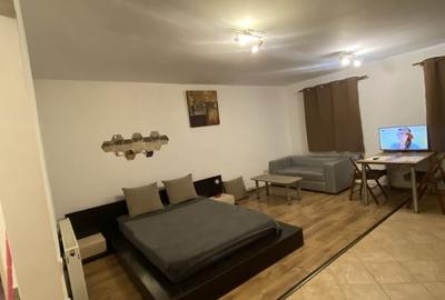 Garsonieră în Bună Ziua - 13