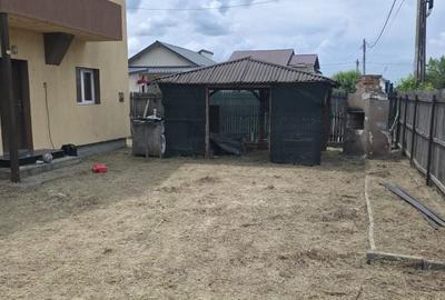 Casă cu 4 camere în Radu Negru