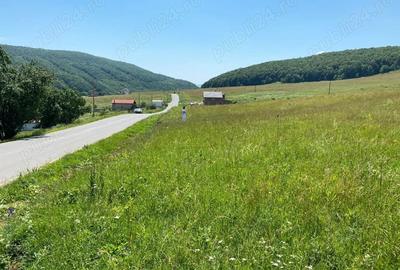 Teren de 1100 mp, în Sălicea - 8
