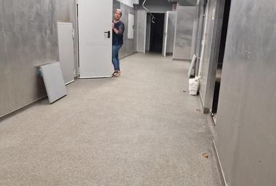 Spațiu comercial, de 1,526 mp, în Ștefan cel Mare - 11