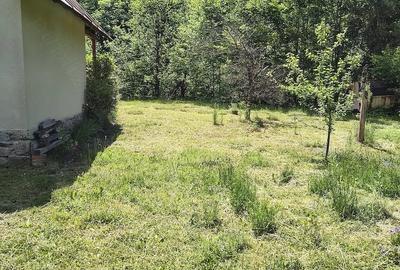 Casă cu 3 camere cu Teren 646 Mp în Pietroasa - 2