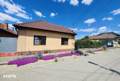 Casă cu 4 camere cu Teren 2730 Mp în Sânmartin