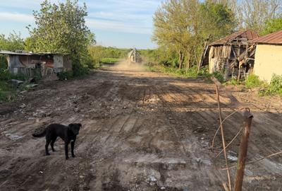 Teren de 2000 mp, în Iepurești