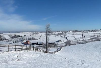Teren de 17434 mp, în Măguri - 5