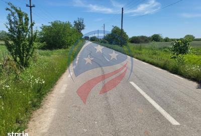 Casă cu 4 camere cu Teren 5100 Mp în Leu - 3