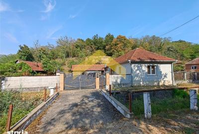 Casă cu 3 camere cu Teren 2504 Mp în Săvârșin