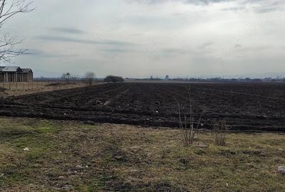 Teren de 3600 mp, în Hălchiu