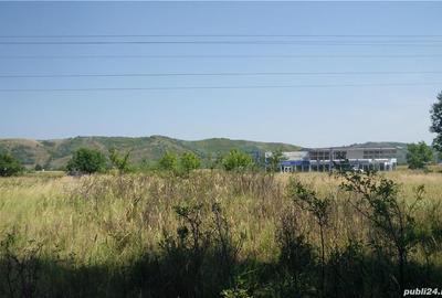 Teren de 2400 mp, în Aninoasa - 6