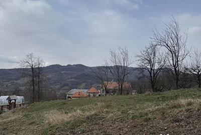 Teren de 3000 mp, în Cetățeni - 2