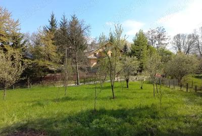 Teren de 1950 mp, în Central - 3