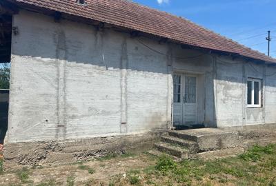 Casă cu 2 camere în Cheșa - 5