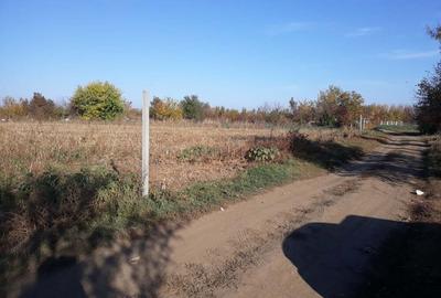 Teren de 150000 mp, în Nord - 4