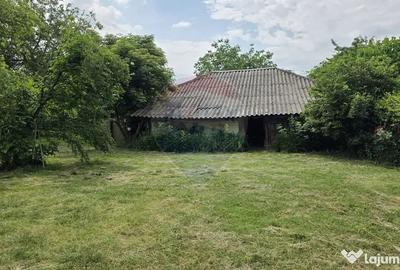 Casă cu 3 camere cu Teren 5063 Mp în Uzunu - 2