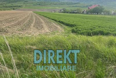 Teren de 7600 mp, în Șieu - 3