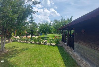 Casă individuală cu 3 camere cu Canalizare în Gruiu - 46