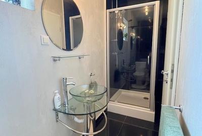 Apartament cu 3 camere decomandat, mobilat în Lipovei - 35