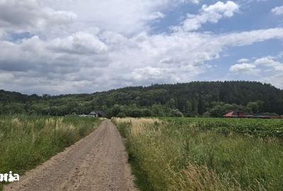 Teren de 5000 mp, în Șcheia - 3