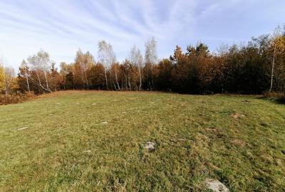 Teren agricol extravilan de 13000 mp, în Sohodol - 10