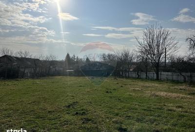 Casă cu 3 camere cu Teren 2609 Mp în Bârgăuani