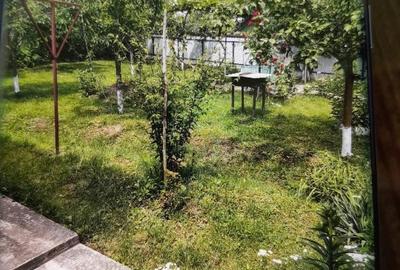 Casă cu 3 camere cu Teren 4000 Mp în Șupitca - 10