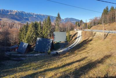 Teren Construcții intravilan de 6000 mp, în Bran - 3