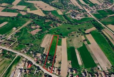 Casă cu 6 camere cu Teren 6000 Mp în Burdea