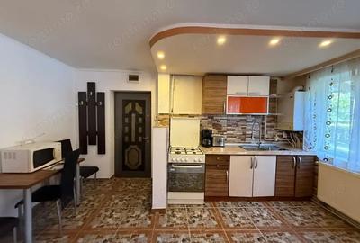 Apartament cu 3 camere decomandat în Gojdu - 15
