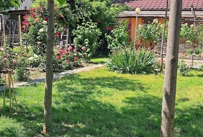 Casă cu 3 camere cu Teren 900 Mp în Dimieni - 1