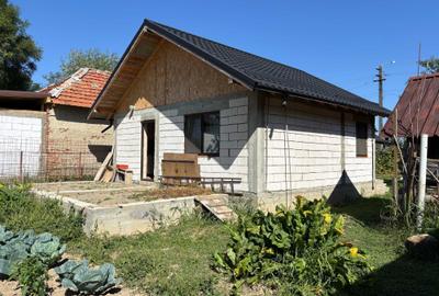 Casă cu 2 camere în Valea Pechii - 1