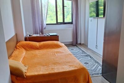Garsonieră decomandată în Olteni - 3