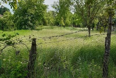 Teren Construcții intravilan de 600 mp, în Ștefăneștii de Sus - 1