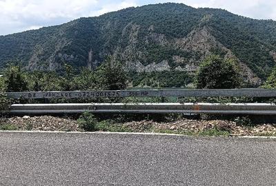 Teren de 500 mp, în Svinița - 1