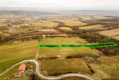 Teren intravilan de 7089 mp, în Ceica - 7