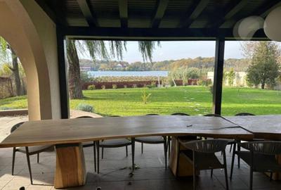 Casă individuală cu 8 camere cu Piscina în Snagov - 14