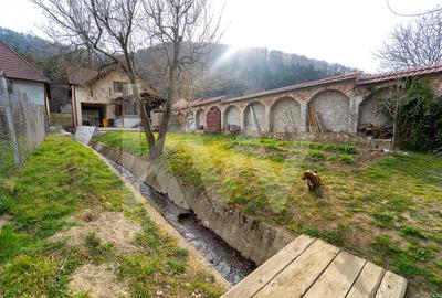 Casă individuală cu 4 camere cu Canalizare în Săliște - 11