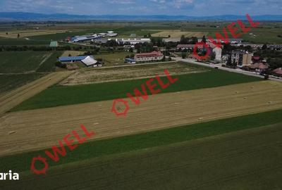 Teren de 10300 mp, în Central - 5
