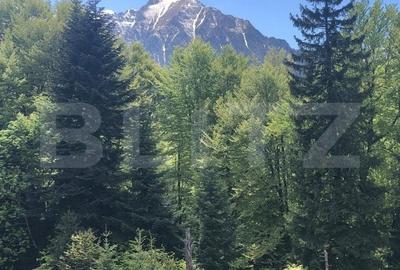 Teren de 5500 mp, în Central - 6