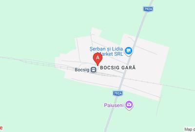Teren agricol extravilan de 56000 mp, în Bocsig