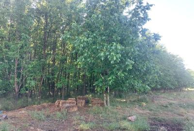 Casă cu 4 camere în Movila - 1