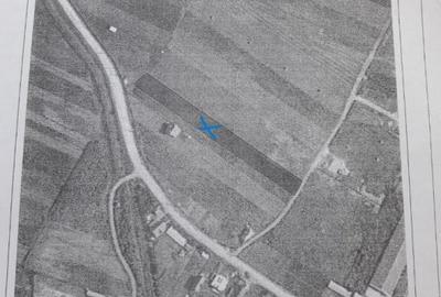 Teren de 3000 mp, în Jucu
