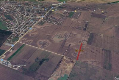 Teren agricol intravilan de 5000 mp, în Dascălu - 2