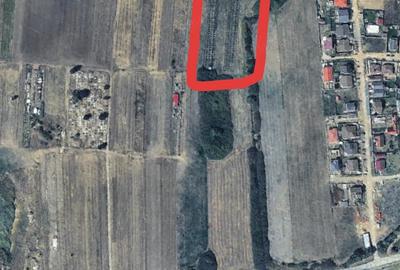 Teren de 1600 mp, în Sânmihaiu Român
