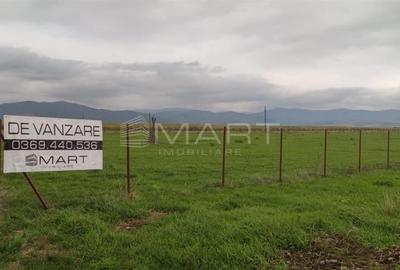 Teren de 30000 mp, în Prejmer
