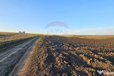 Teren de 30077 mp, în Stroiești - 16