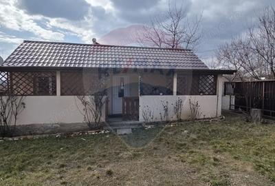 Casă cu 4 camere cu Teren 614 Mp în Stânca (Ștefănești) - 7