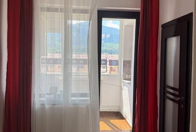 Garsonieră semidecomandată în Timișu de Jos - 1