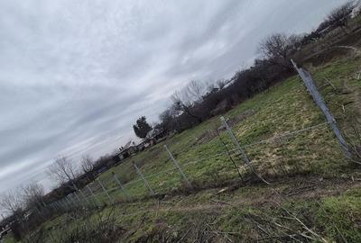Teren de 1486 mp, în Pruni - 5