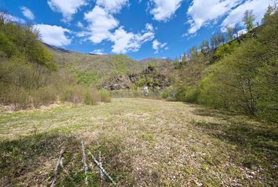 Teren intravilan de 9191 mp, în Agârbiciu - 11