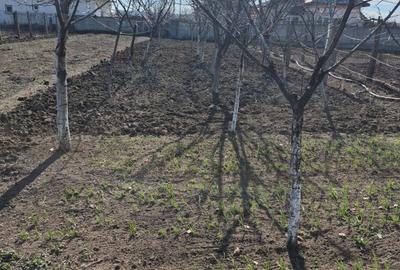 Casă cu 4 camere în Central - 1
